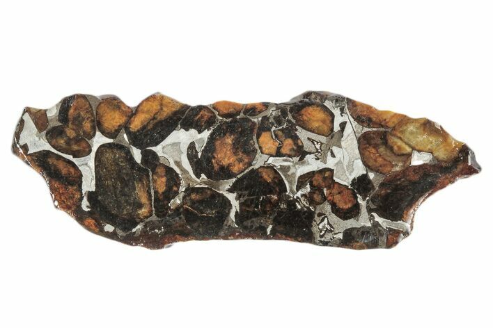 Sericho Pallasite Meteorite ( g) Slice - Kenya #346455